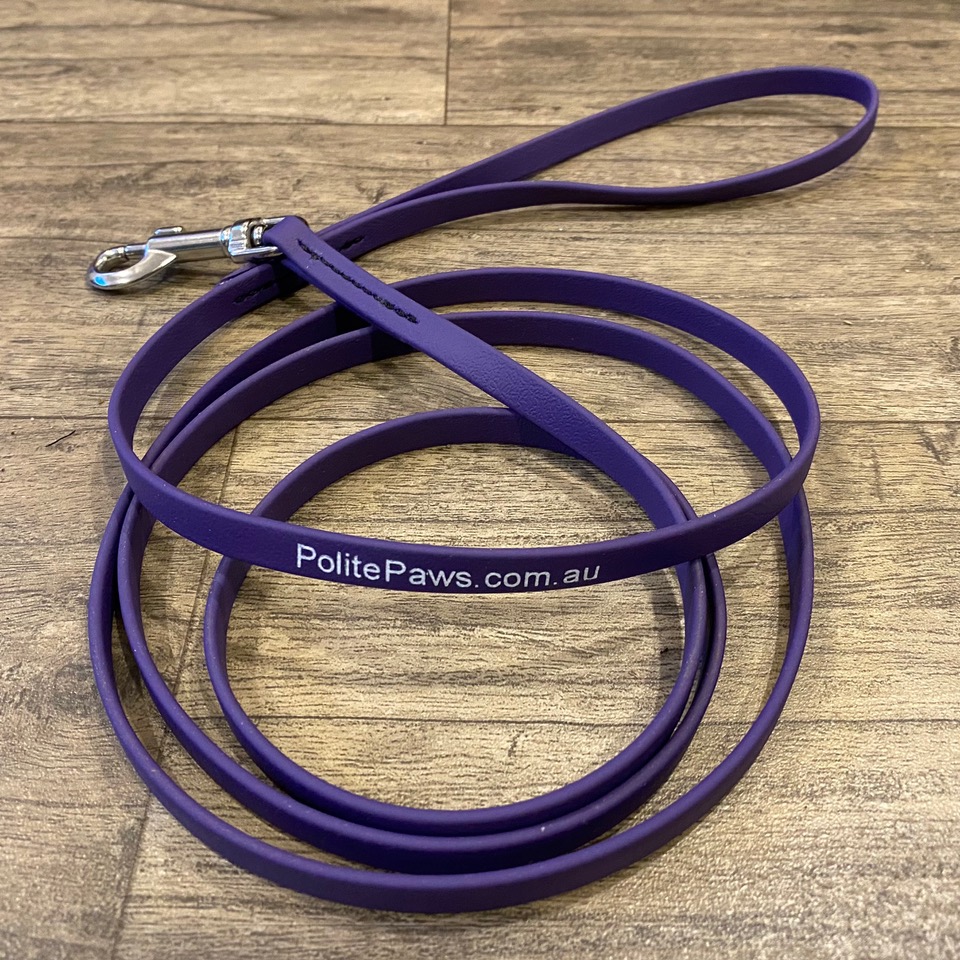 6ft Purple Biothane Training Lead - Small Stainless Steel Snap